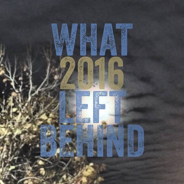 What 2016 Left Behind