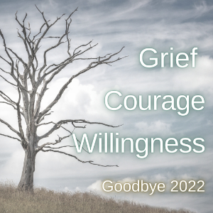 Grief, Courage and Willingness. Goodbye 2022.